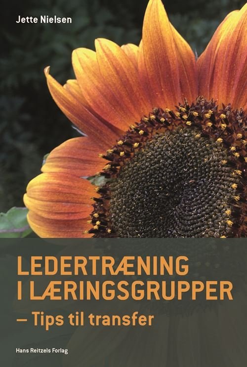 Ledertræning i læringsgrupper - Jette Nielsen - Bøger - Gyldendal - 9788702334234 - 10. januar 2022