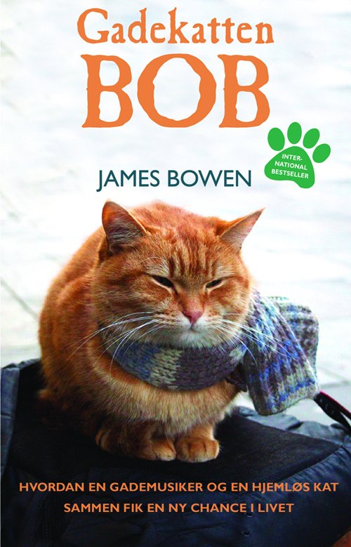 Cover for James Bowen · Gadekatten Bob (Sewn Spine Book) [1.º edición] (2014)