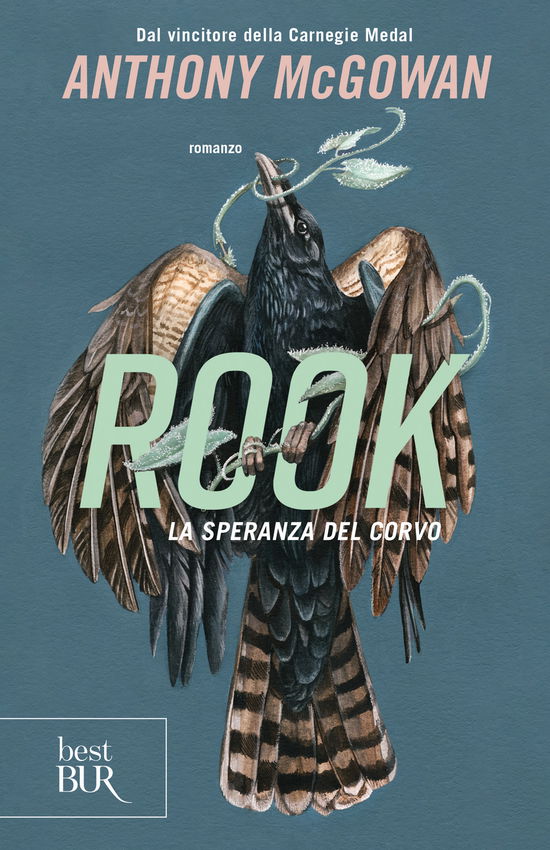 Cover for Anthony McGowan · Rook. La Speranza Del Corvo (Book)