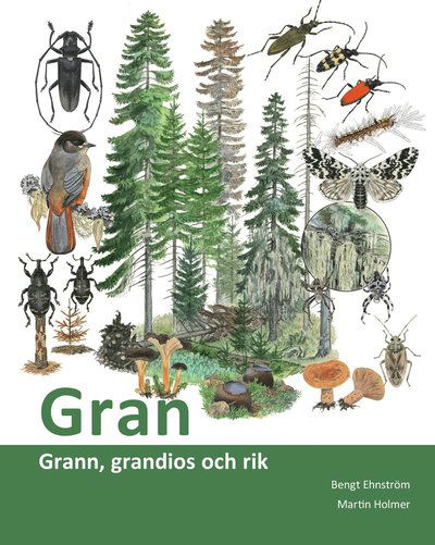 Cover for Bengt Ehnström · CBM:s skriftserie: Gran : grann, grandios och rik (Book) (2020)