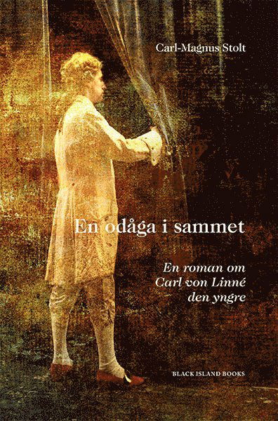 En odåga i sammet - Carl-Magnus Stolt - Books - Black Island Books - 9789188645234 - September 14, 2019