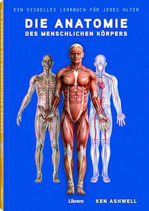 Die Anatomie des Menschlichen Körpers - Ken Ashwell - Books - Librero - 9789463597234 - September 15, 2024