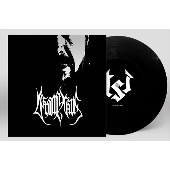 Deinonychus · The Audial Representation of Misery and Despair (7") (2020)