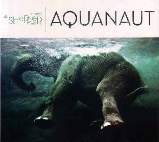 Cover for Laurent De Schepper Trio · Aquanaut (CD) (2014)