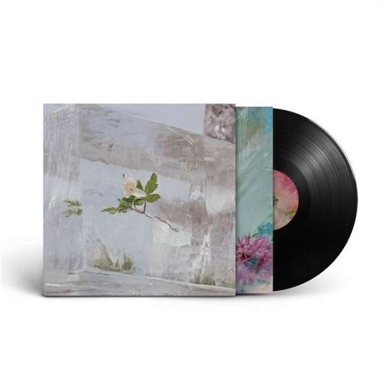 Cover for Efterklang · Windflowers (LP) (2021)