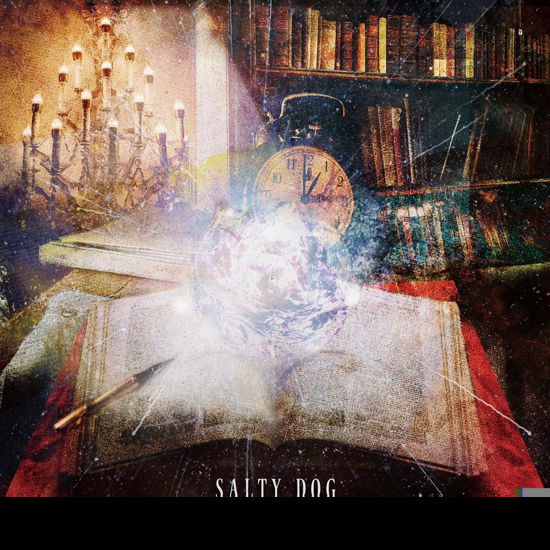 Cover for Salty Dog · Anima (CD) [Japan Import edition] (2019)