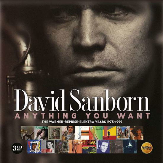 Cover for David Sanborn · Anything You Want: The Warner / Reprise / Elektra Years (1975-1999) (CD) [Digipak] (2020)