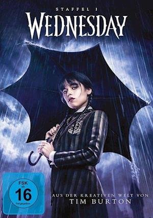 Cover for Wednesday: Staffel 1 (DVD) (2024)