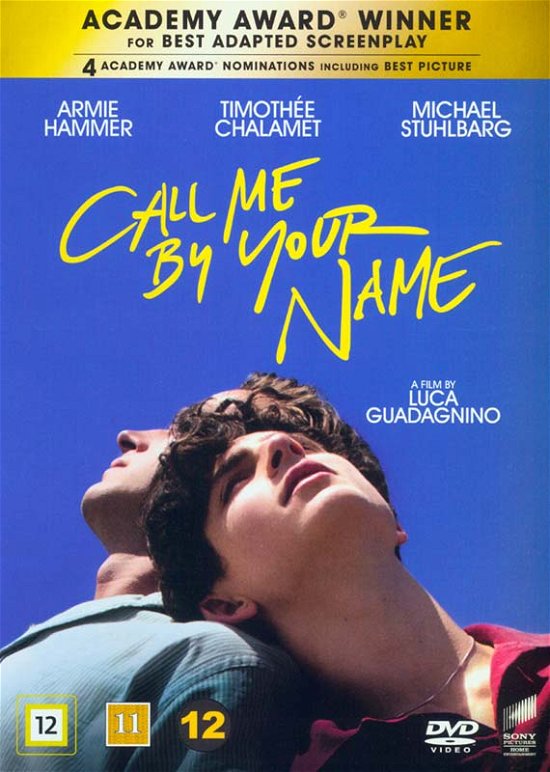 Cover for Armie Hammer / Timothée Chalamet / Michael Stuhlbarg · Call Me by Your Name (DVD) (2018)