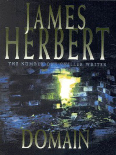 Domain - James Herbert - Kirjat - Pan Macmillan - 9780330376235 - lauantai 11. joulukuuta 1999