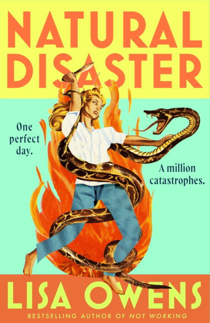Cover for Lisa Owens · Natural Disaster (Hardcover Book) (2026)