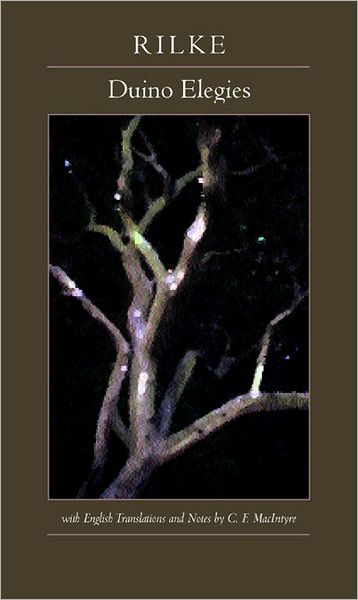 Cover for Rainer M. Rilke · Duino Elegies (Paperback Book) (2001)
