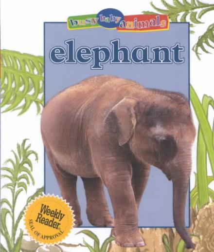 Elephant (Busy Baby Animals) - Jinny Johnson - Książki - Gareth Stevens Publishing - 9780836829235 - 1 września 2001