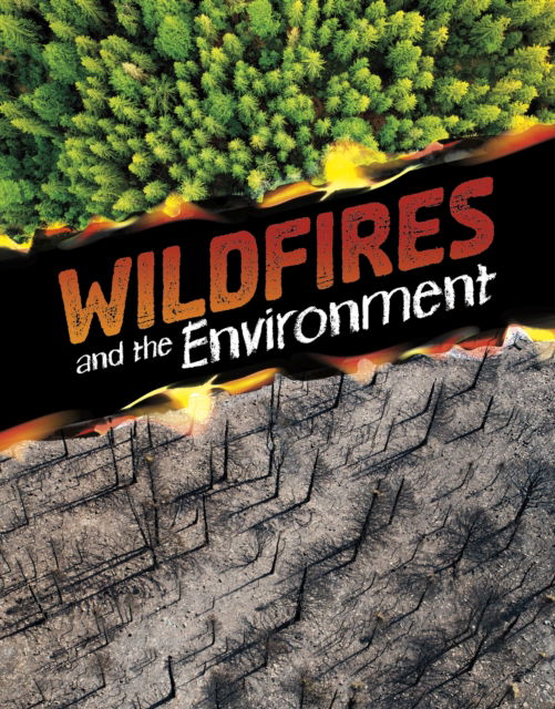 Cover for Marcia Amidon Lusted · Wildfires and the Environment - Disasters and the Environment (Hardcover bog) (2025)
