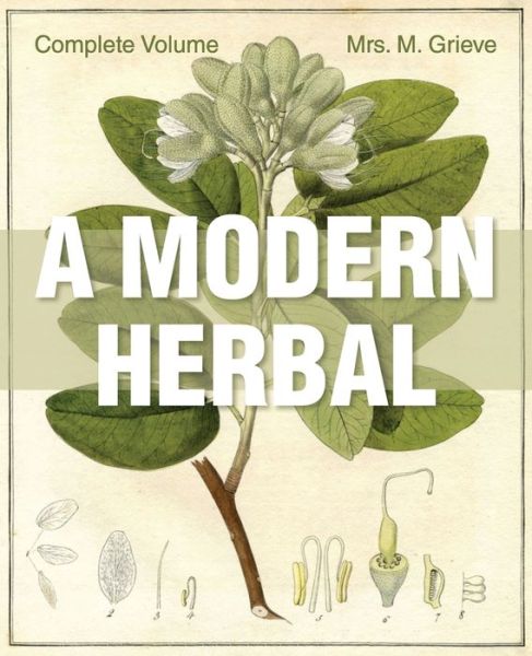 Cover for Margaret Grieve · A Modern Herbal: The Complete Edition (Taschenbuch) (2015)