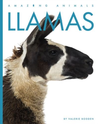 Cover for Valerie Bodden · Llamas (Bok) (2023)