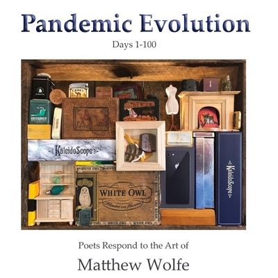 Cover for Matthew Wolfe · Pandemic Evolution (Taschenbuch) (2021)