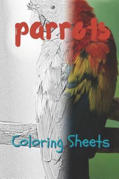 Cover for Julian Smith · Parrot Coloring Sheets (Taschenbuch) (2019)