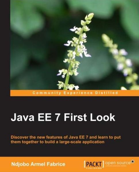 Cover for NDJOBO Armel Fabrice · Java EE 7 First Look (Paperback Bog) (2013)