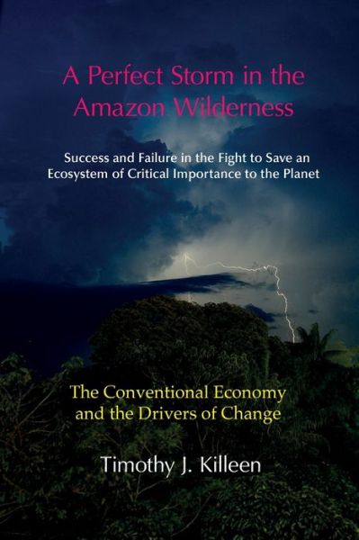 Cover for Timothy J. Killeen · A Perfect Storm in the Amazon Wilderness: Success and Failure in the Fight to Save an Ecosystem of Critical Importance to the Planet. Volume 1: The Conventional Economy and the Drivers of Change - Perfect Storm in the Amazon (Paperback Book) (2022)