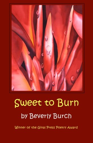 Cover for Beverly Burch · Sweet to Burn (Paperback Book) (2014)