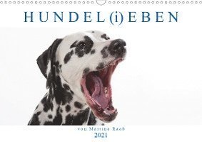 Cover for Raab · HUNDEL (i)EBEN (Wandkalender 2021 D (Bok)