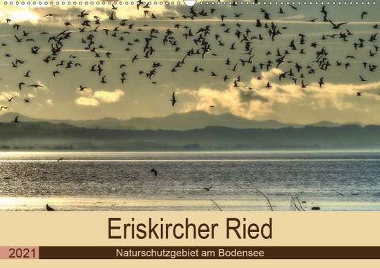 Cover for Brinker · Eriskircher Ried - Naturschutzg (Book)