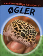 Cover for Deborah Chancellor · Usædvanlige kæledyr: Øgler (Gebundesens Buch) [1. Ausgabe] (2008)