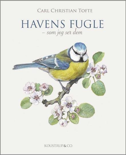 Cover for Carl Christian Tofte · Havens Fugle (Bound Book) [1st edition] (2024)