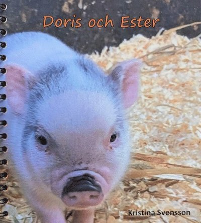Cover for Kristina Svensson · Doris och Ester (Spiralbuch) (2023)