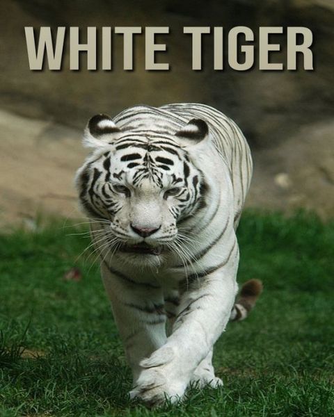 Cover for Joe Murphy · White Tiger (Paperback Book) (2020)