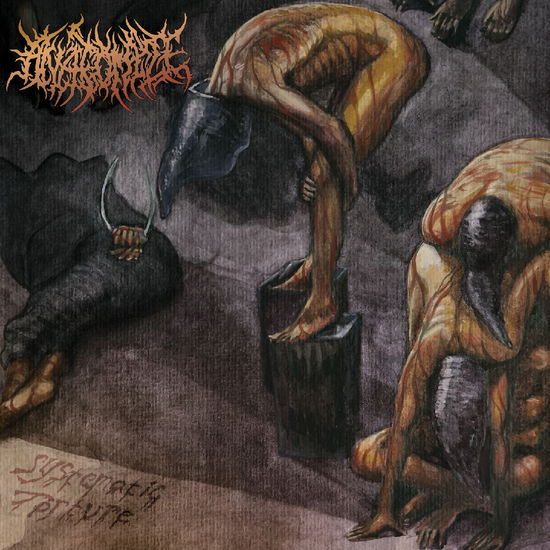 Cover for Anatomize · Systematic Torture (CD) (2025)