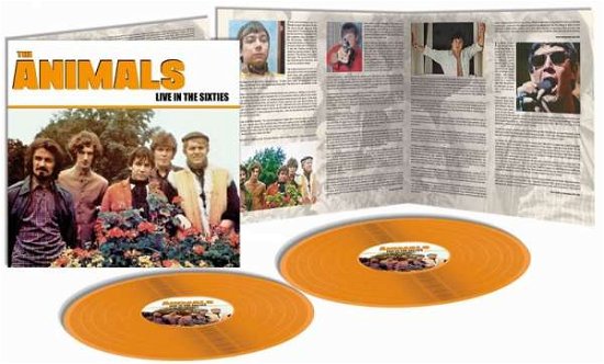 Cover for The Animals · LIVE IN THE SIXTIES (180g ORANGE VINYL) (LP) [Coloured edition] (2018)