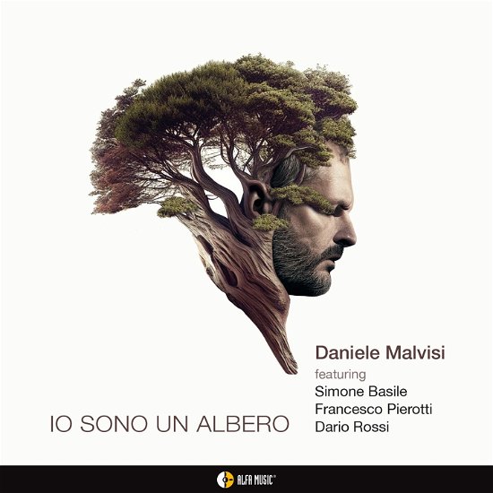 Cover for Daniele Malvisi · Io Sono Un Albero (CD) (2023)