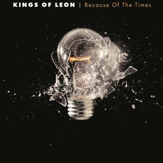 Cover for Kings Of Leon · Because Of The Times (VINIL) (2012)