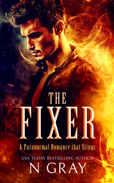 Cover for N Gray · The Fixer - Shifter Days, Vampire Nights &amp; Demons in Between (Paperback Book) (2025)