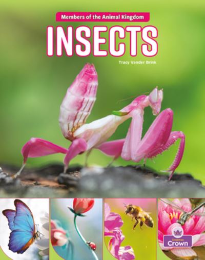 Cover for Tracy Vonder Brink · Insects (Book) (2023)