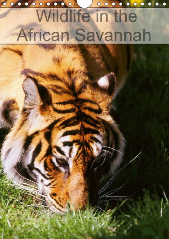 Cover for Leroy · Wildlife in the African Savannah (Buch)