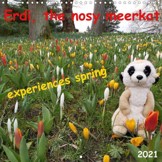 Cover for Michel · Erdi, the nosy meerkat, experien (Book)