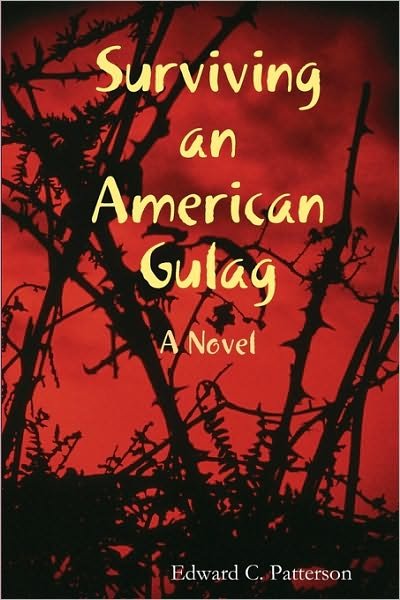 Cover for Edward C. Patterson · Surviving an American Gulag (Paperback Book) (2008)