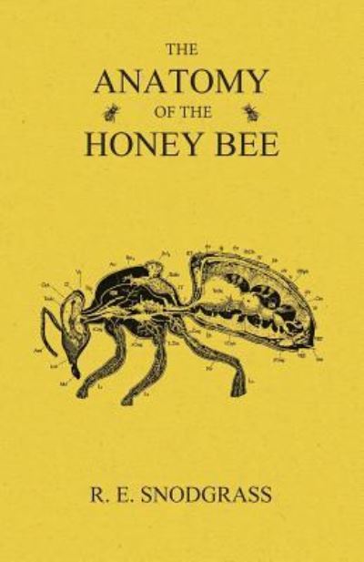 Cover for R E Snodgrass · The Anatomy of the Honey Bee (Paperback Book) (2016)