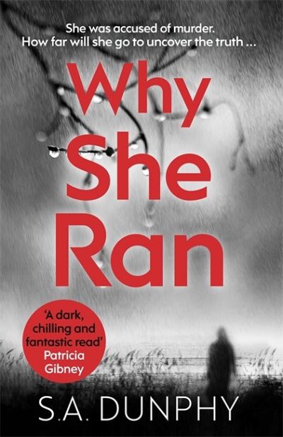 Cover for S.A. Dunphy · Why She Ran - David Dunnigan (Paperback Book) (2020)