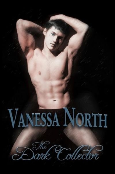 Cover for Vanessa North · The Dark Collector (Paperback Book) (2013)