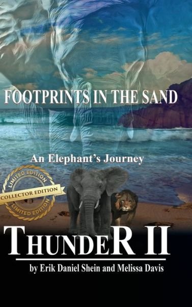 Cover for Erik Shein · Thunder II (Hardcover Book) (2017)