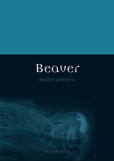 Cover for Rachel Poliquin · Beaver - Animal (Paperback Book) (2015)