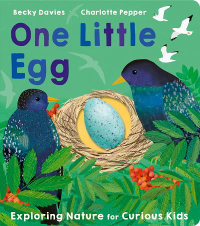 Cover for Becky Davies · One Little Egg: Exploring Nature for Curious Kids - One Little (Board book) (2023)