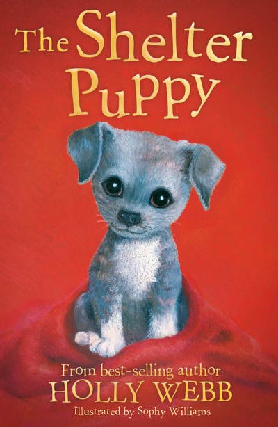 The Shelter Puppy - Holly Webb Animal Stories - Holly Webb - Książki - Little Tiger Press Group - 9781847159236 - 14 czerwca 2018