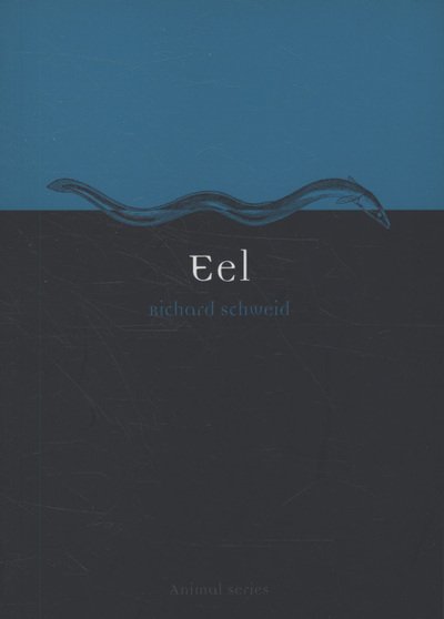 Cover for Richard Schweid · Eel - Animal Series (Paperback Book) (2009)