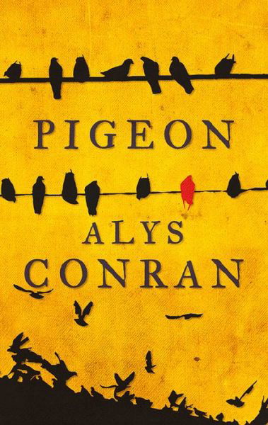 Cover for Alys Conran · Pigeon (Paperback Book) (2016)