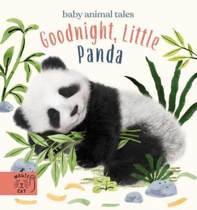 Cover for Amanda Wood · Goodnight, Little Panda: A book about fussy eating - Baby Animal Tales (Board book) (2021)